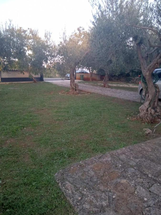 Apartman Krcina Krnica Esterno foto