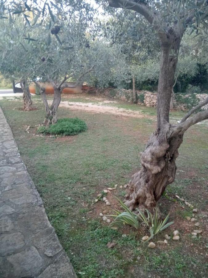 Apartman Krcina Krnica Esterno foto