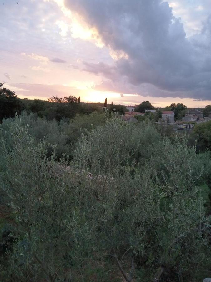 Apartman Krcina Krnica Esterno foto